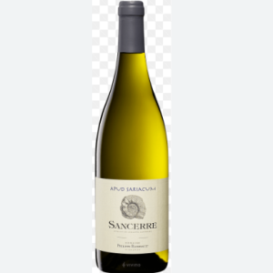 APUD SARIACUM SANCERRE