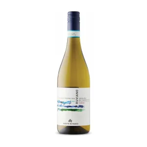 MONTE SCHIAVO RUVIANO VERDICCHIO