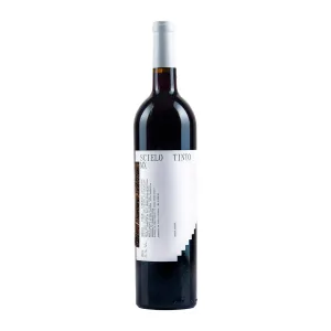 RGNY SCIELO TINTO RED